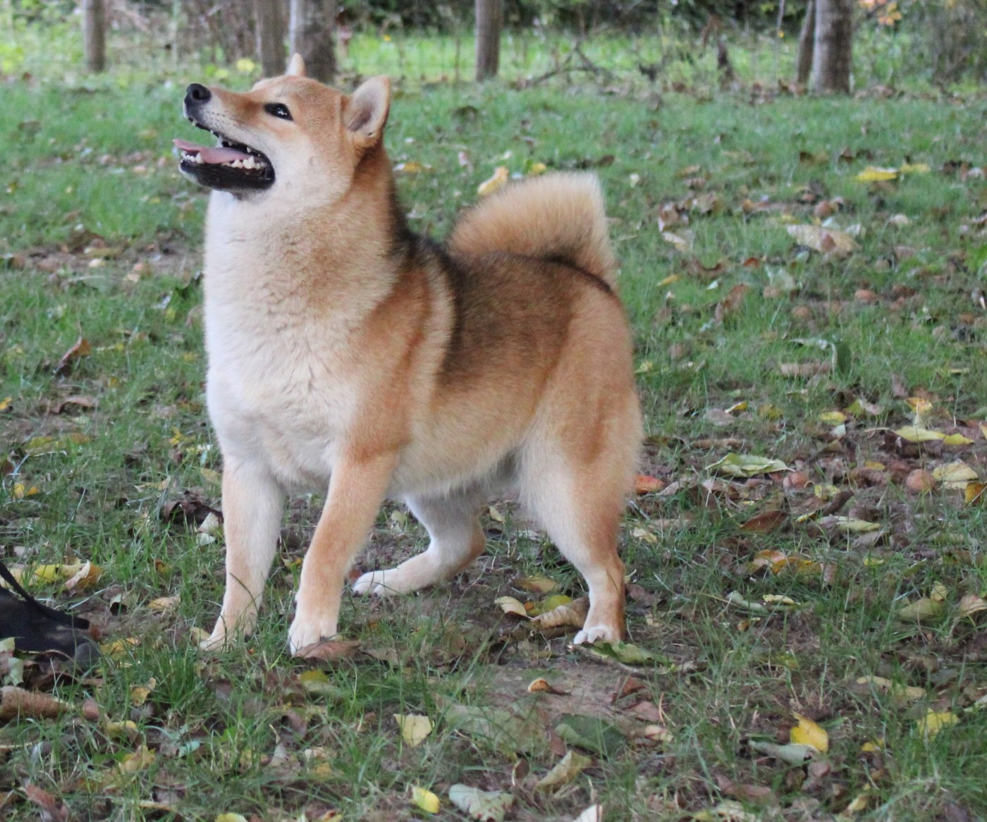 Viera La Colline D'olga
