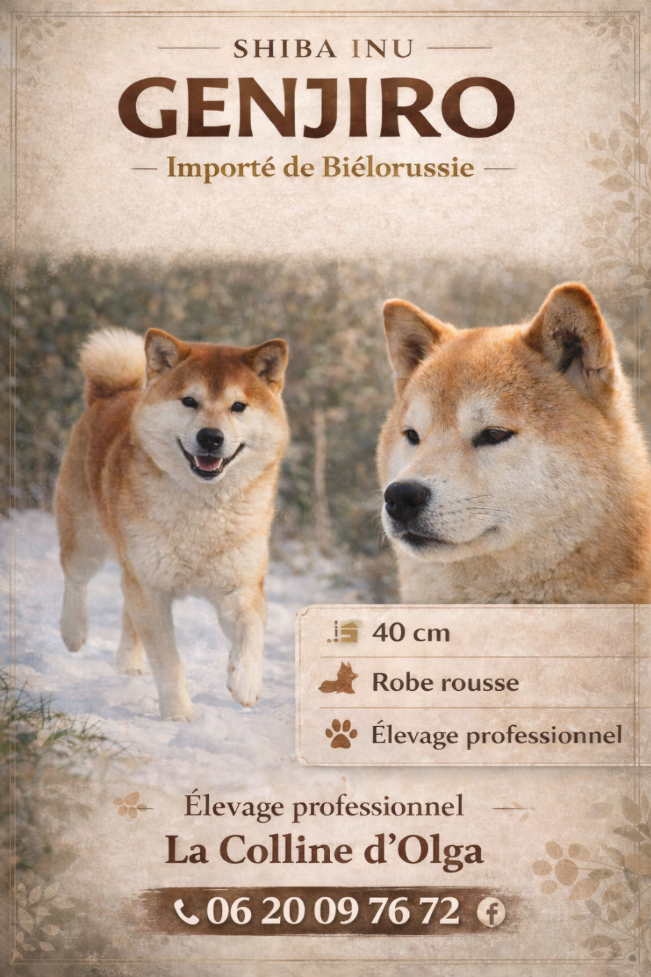 shan-shohrat Genjiro